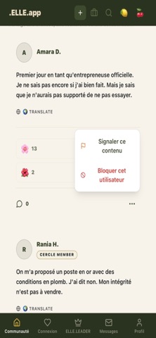 Elle.app screenshot