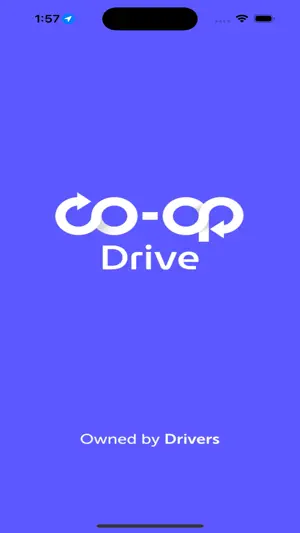 CO-OP Driver screenshot 1