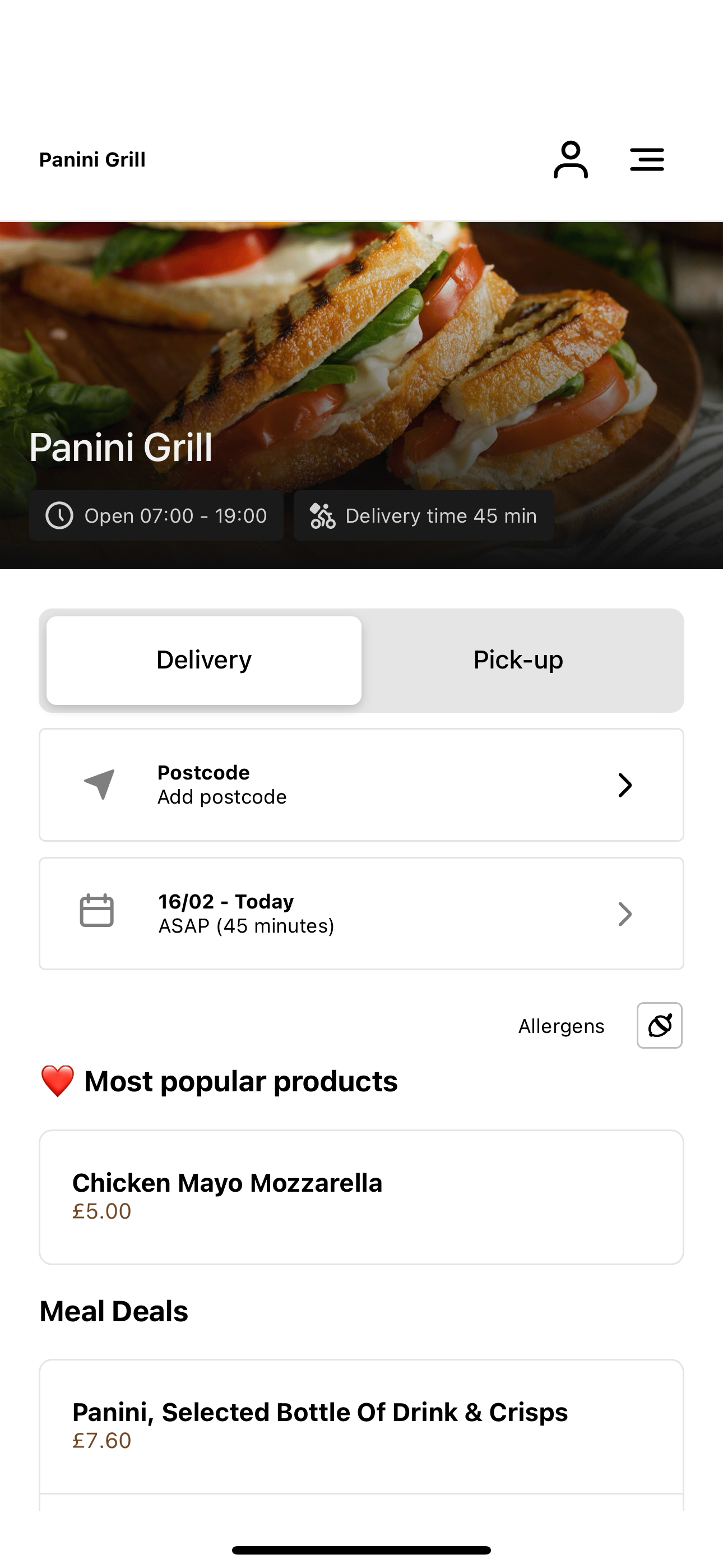 Panini Grill