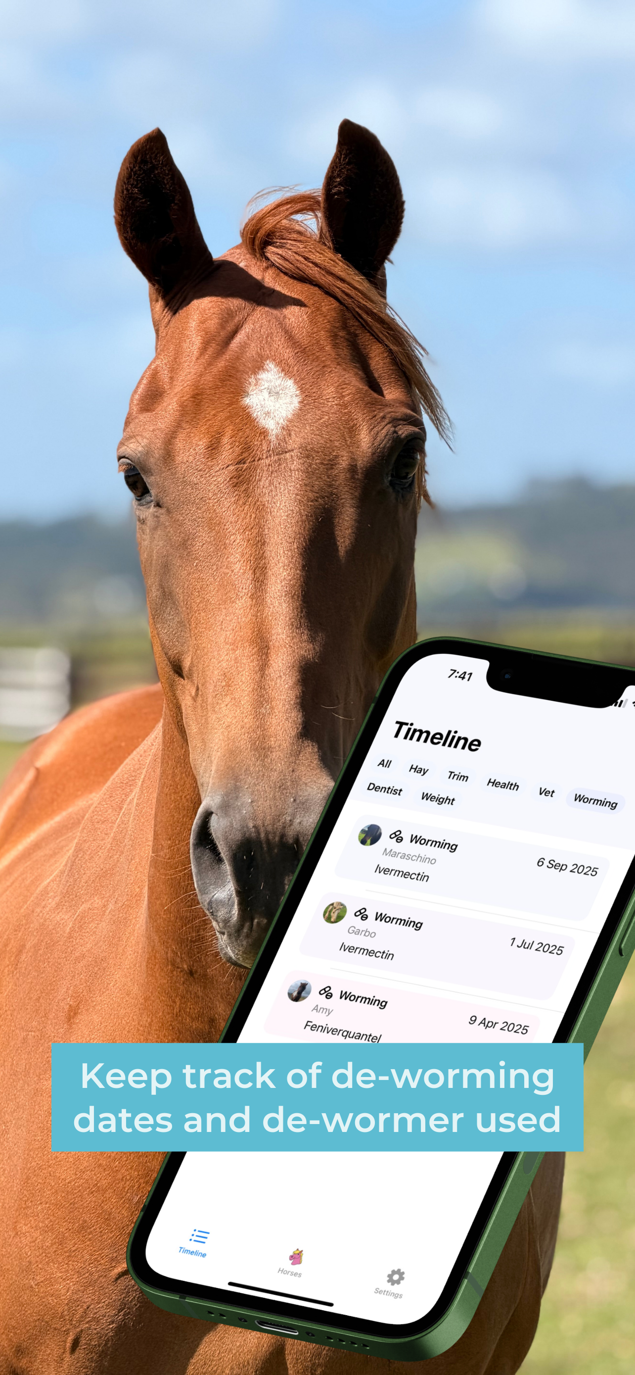 Horse Care Log