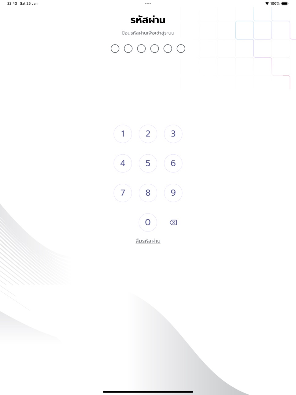 iPad screenshot