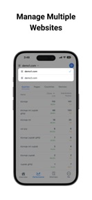 Search Console Tool screenshot