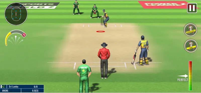 World Champion 3D Cricket Game screenshot 5 of 8