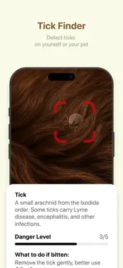 Bug identifier: Picture insect screenshot 3
