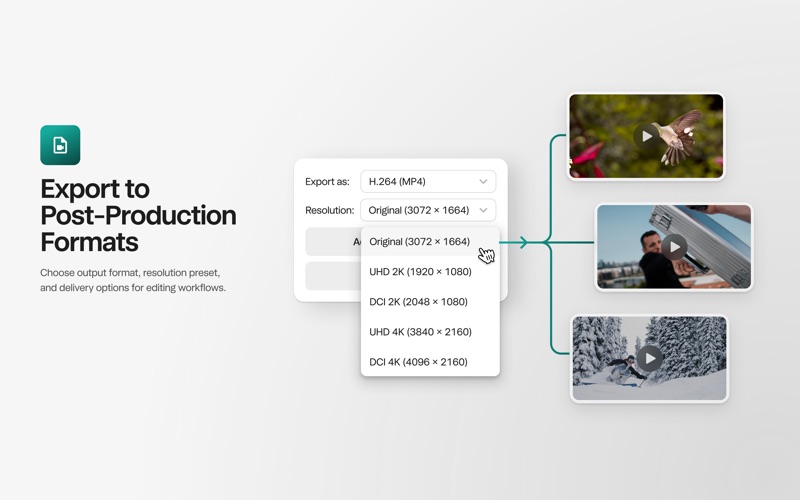 PIXBOOM Cine screenshot