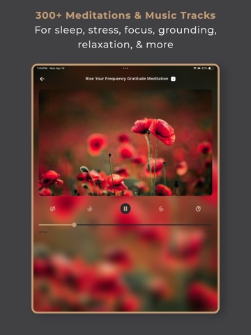 Pura Rasa iPad screenshot