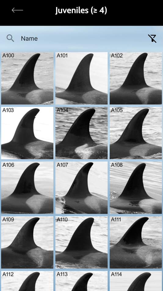 #3. NRKW ID (iOS) 由: Alert Bay Cetological Society