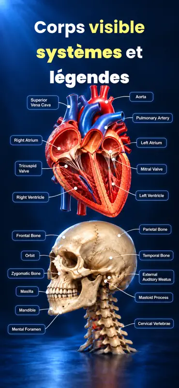 Apprentissage Anatomie 3D screenshot 4 of 4