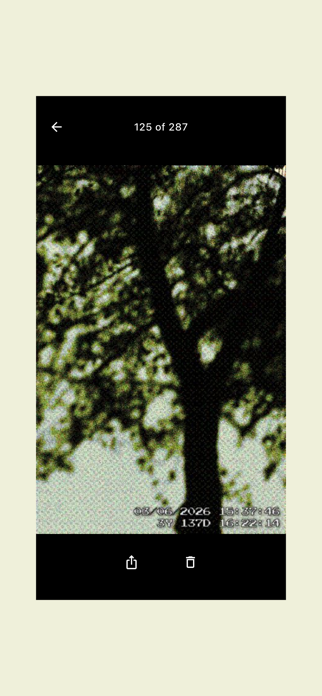 PXLCAM: Climate Clock Camera Screenshot 2 of 4