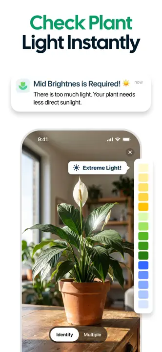 Plant App : capture d’écran 4 sur 8