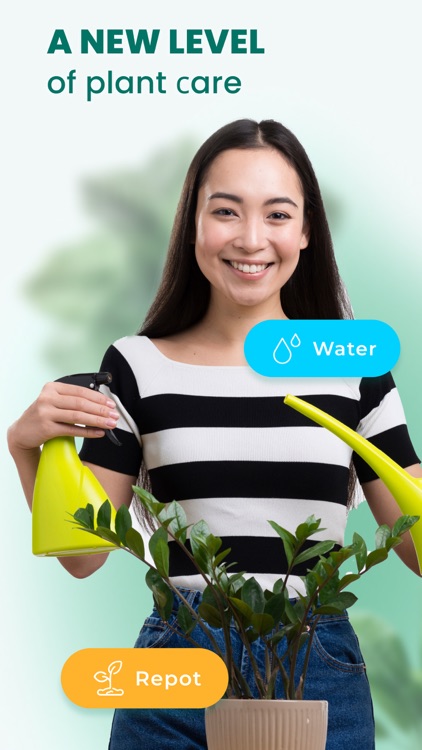 Plant & Leaf Identification