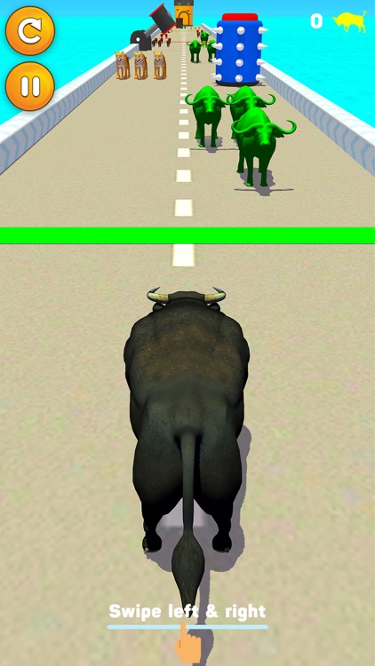 Color Bull:Crowd Merge