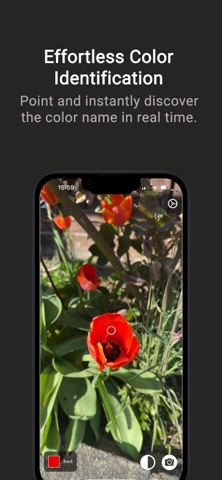 Name That Color screenshot