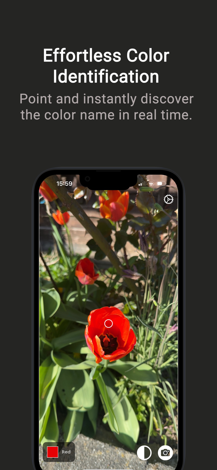 Name That Color screenshot 1
