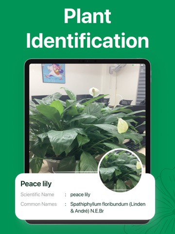Plant ID - AI Identify Plants iPad screenshot