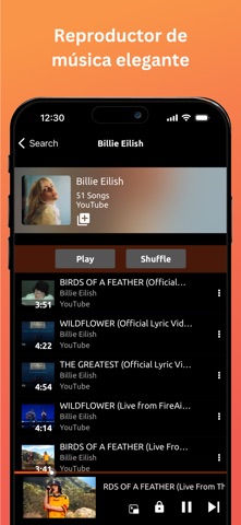 Online Música y Video Player iPhone screenshot 7