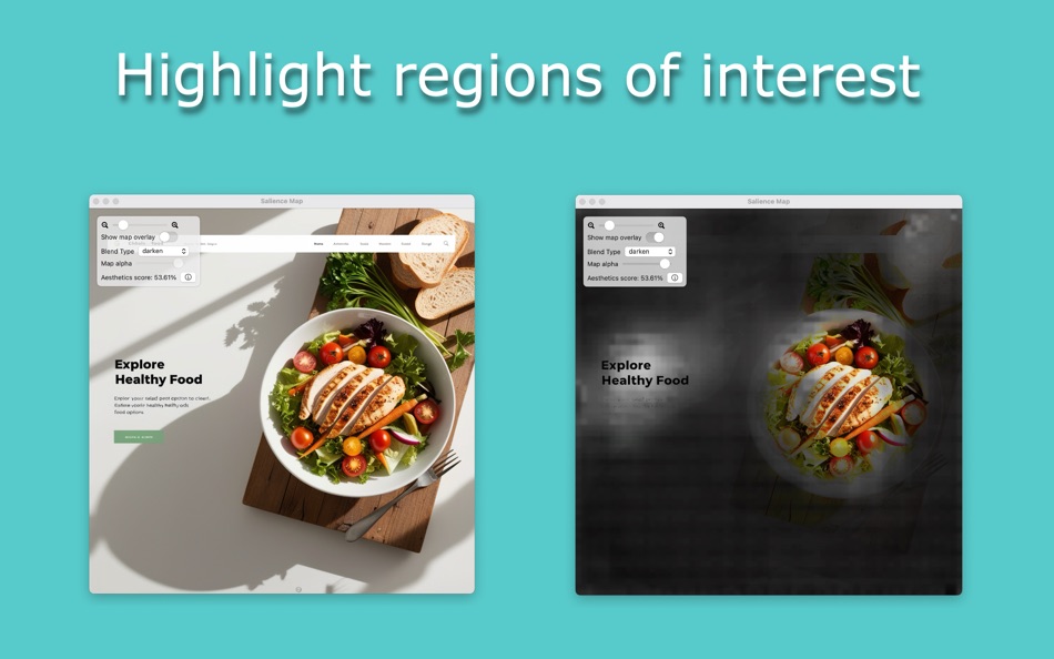 #2. Salience Map (macOS) Podle: Richard Moult