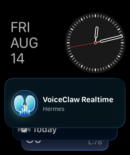 VoiceClaw Realtime screenshot 14