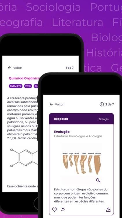 Flashed: Revisão Diária screenshot-3