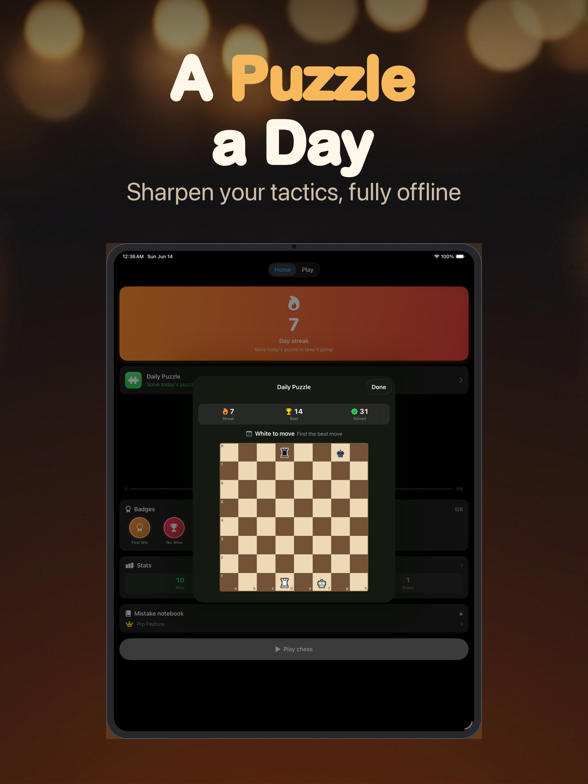 SoloChess - Offline board game screenshot 5