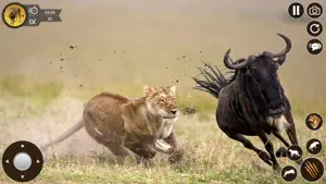 Lion Simulator Animal Games 3D screenshot 4
