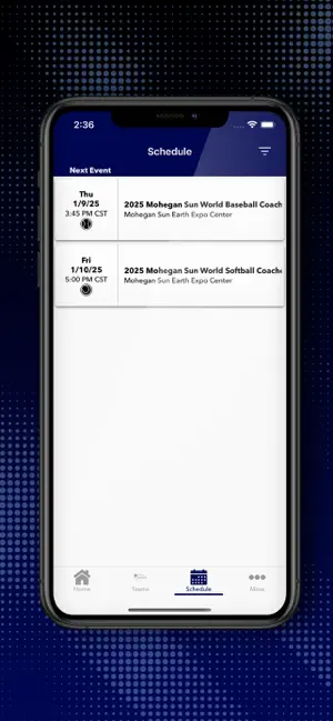 World Baseball and Softball CC screenshot 3