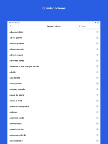 Spanish Idiom Dictionary iPad screenshot