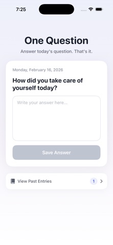 One Question Journal iPhone screenshot