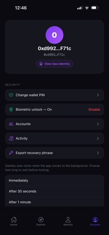 GaoKey Screenshot 6 of 6