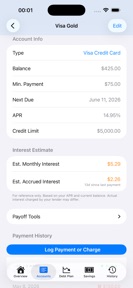 Financial Payment Tracker screenshot