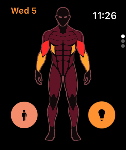 MuscleDial: Muscle Map Tracker screenshot 7