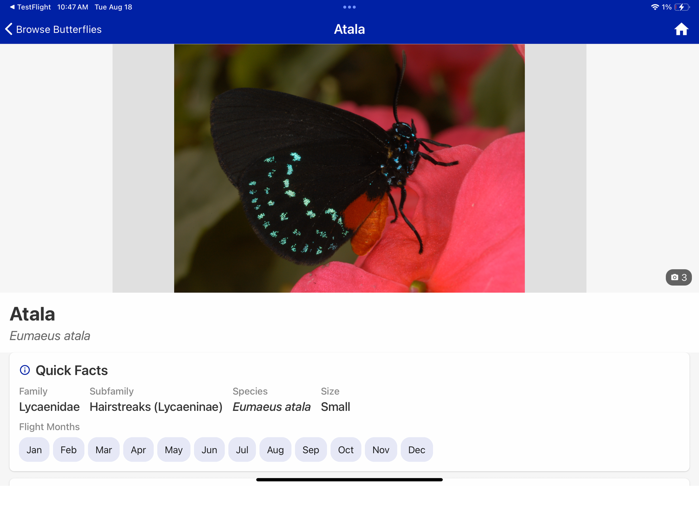 FFL Plants & Pollinators screenshot 9