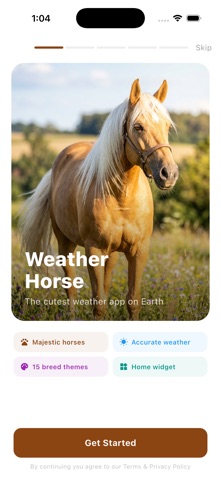Weather Horse Screenshot 7 of 10
