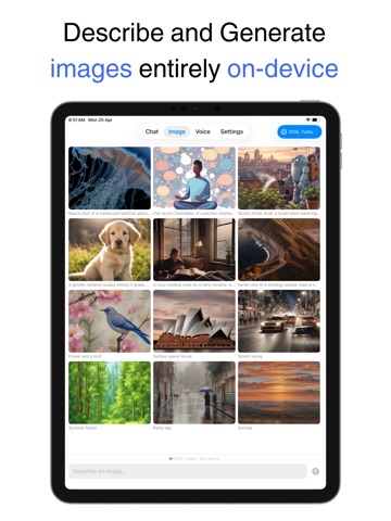 onLM — Offline AI Assistant iPad screenshot