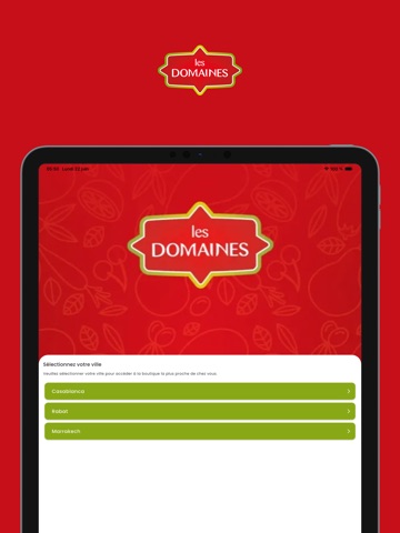 Boutique LES DOMAINES iPad screenshot