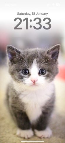 Cat Wallpapers Cute Screenshot 3 of 6
