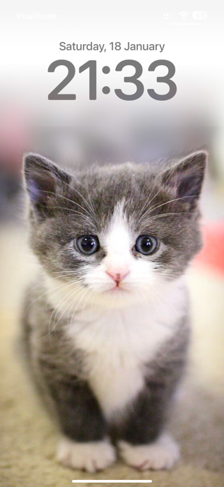 Cat Wallpapers Cute Screenshot 3 of 6