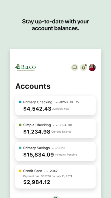 Screenshot 3 of Belco Money Manager App