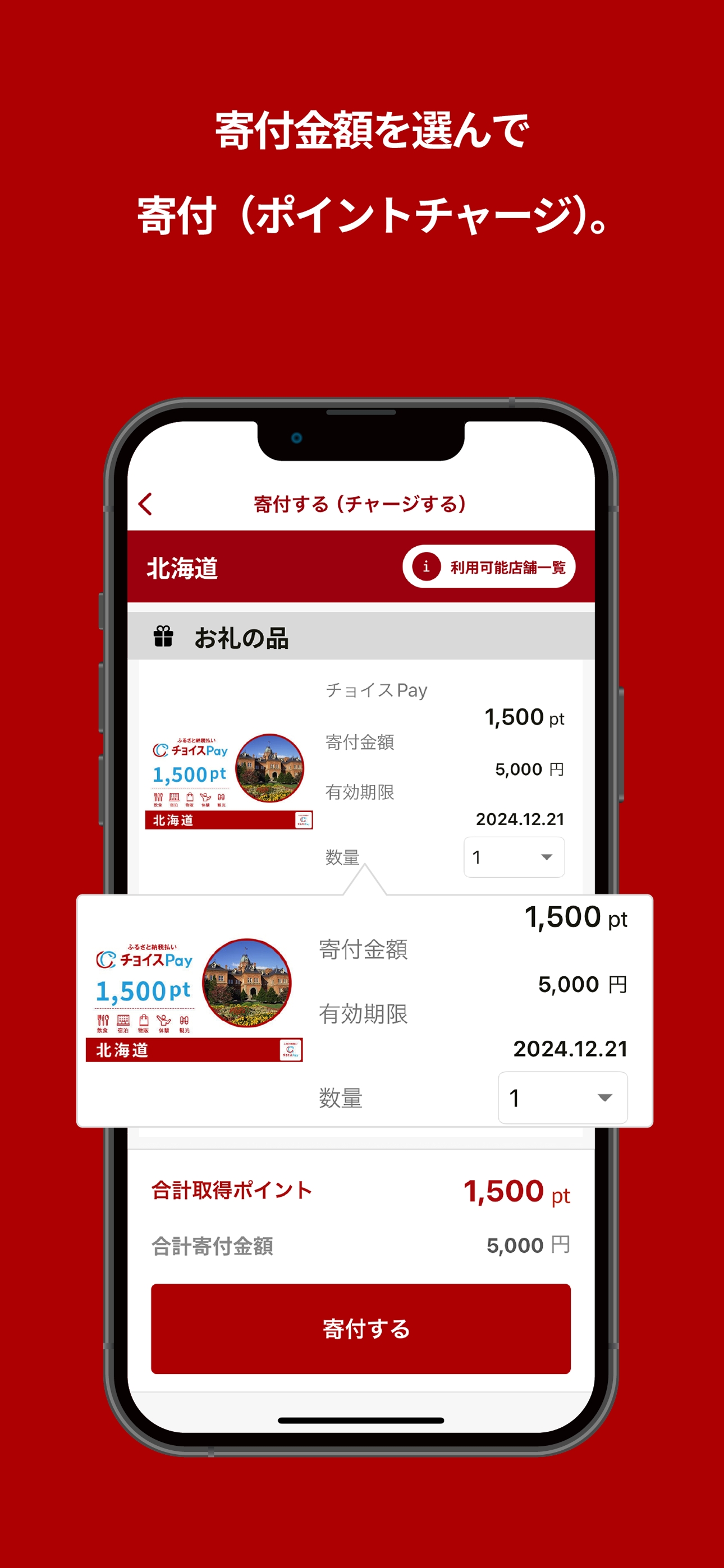 ふるさと納税払い チョイスPay