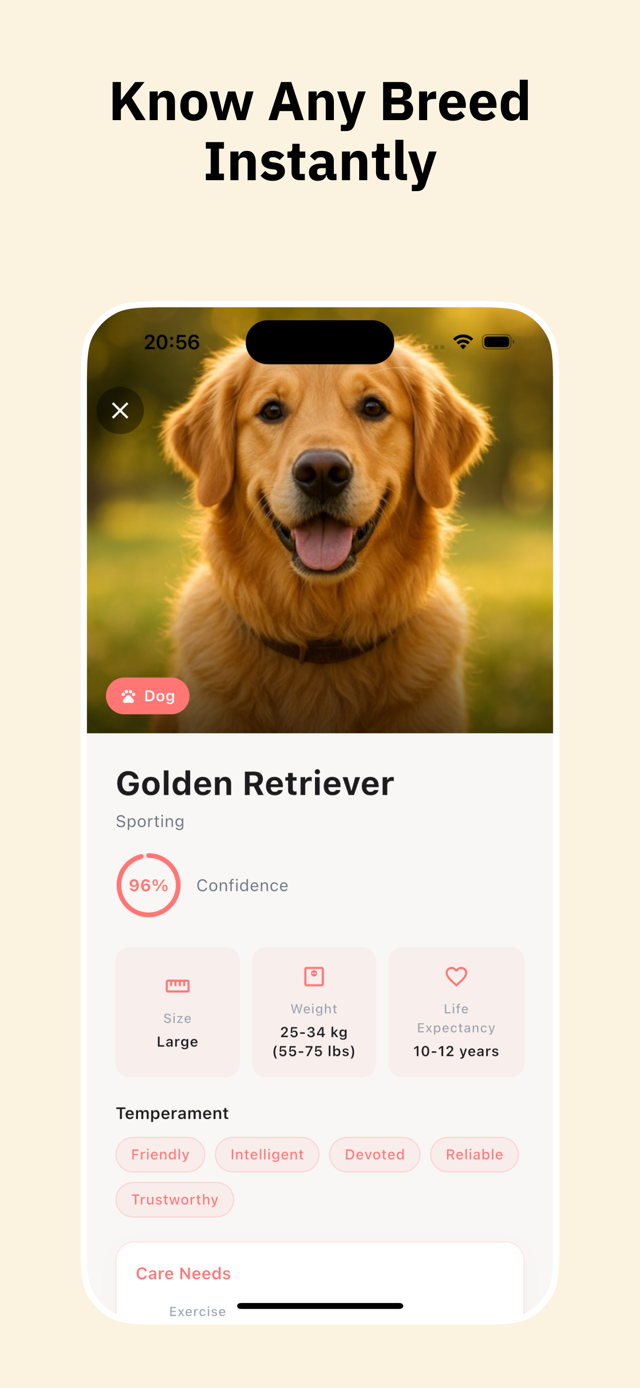 AI Rock Coin Scanner - Orvik screenshot 4