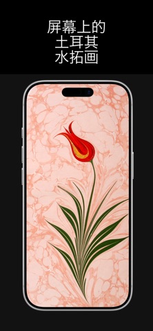 Ebru — 真正水拓画工作室 screenshot