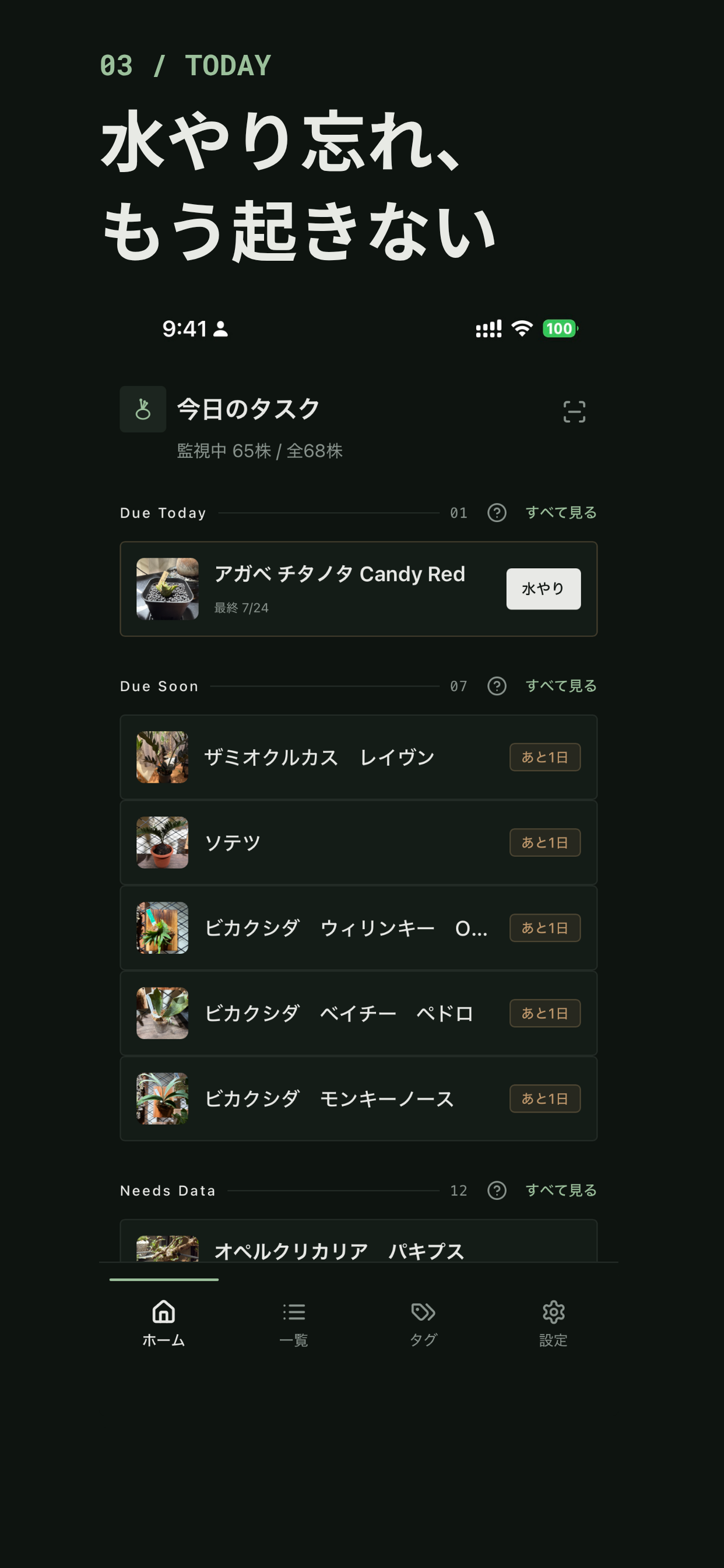 BotaCodex screenshot 3