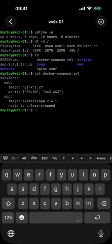SSHBorg Screenshot 2 of 7