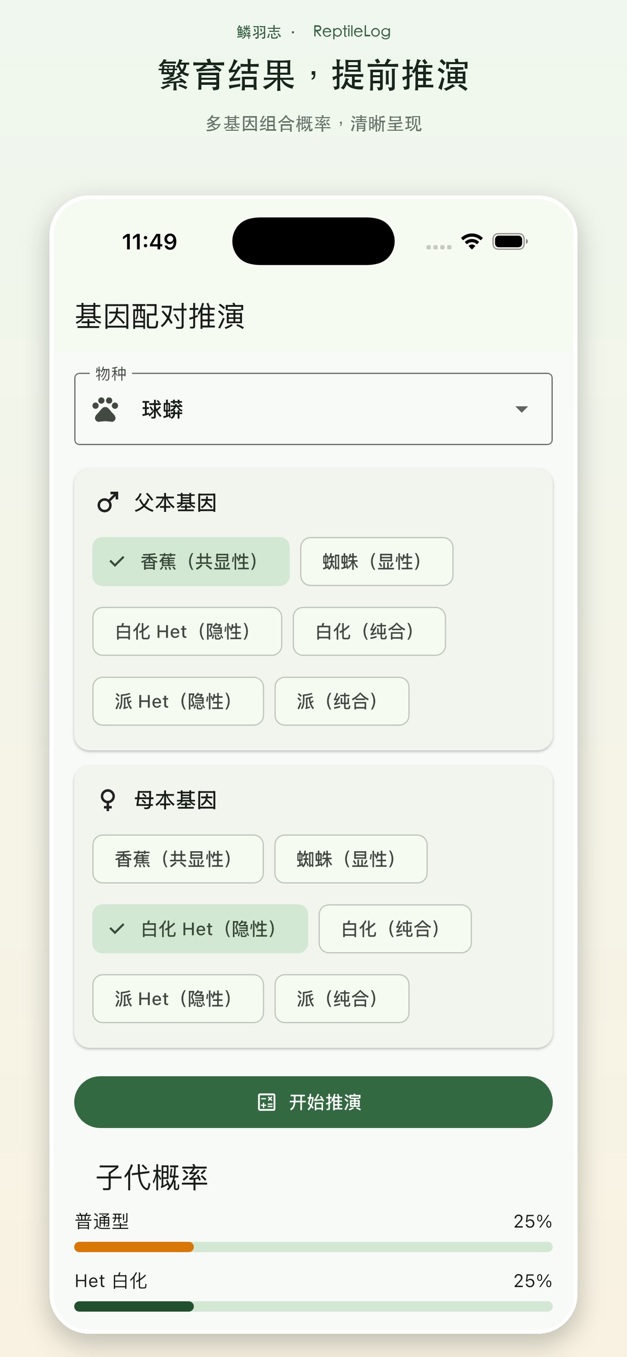 Screenshot 4 of 鳞羽志