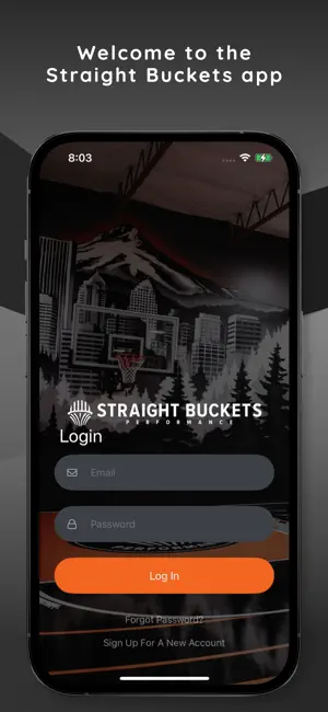 Straight Buckets screenshot 1