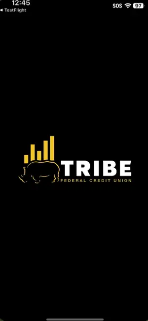 Tribe Federal Credit Union screenshot 1