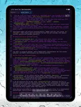 Neon Vision Editor 1