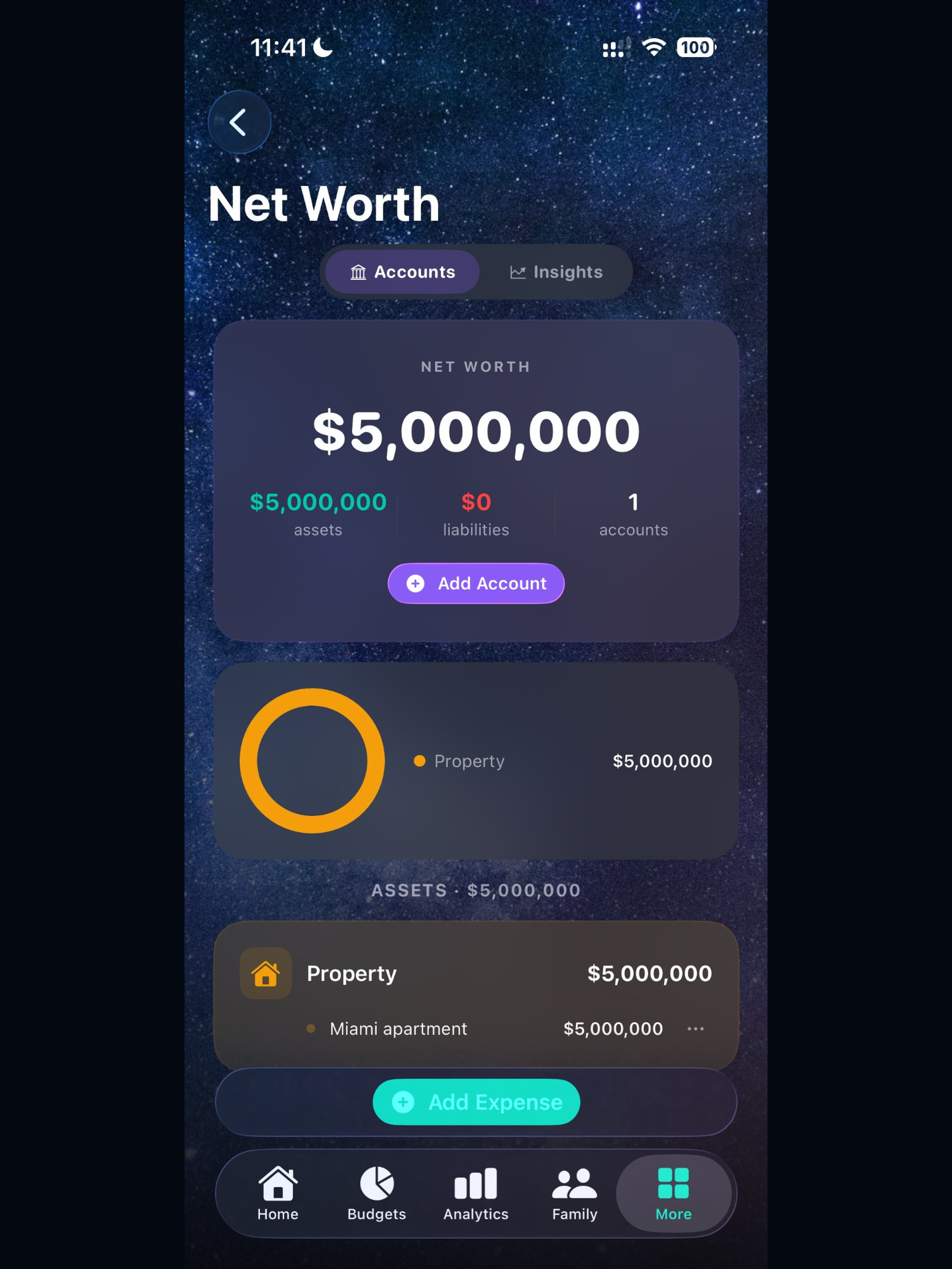 Tally - Budget Buddy screenshot 14
