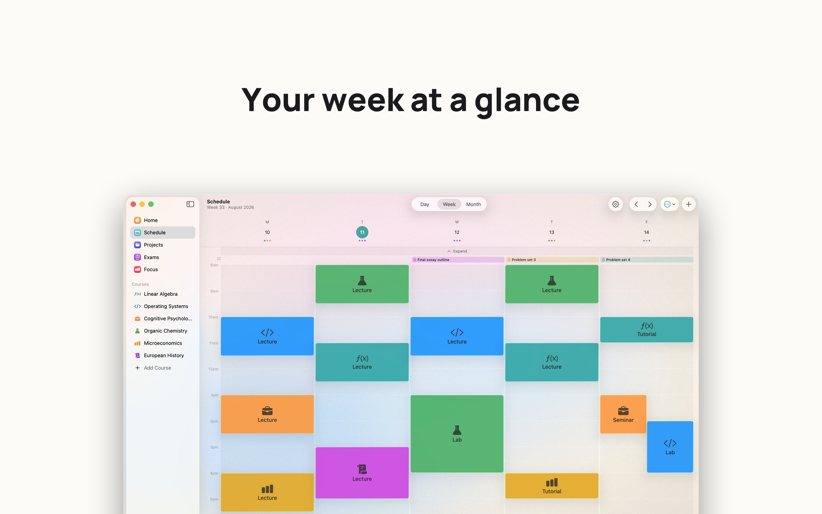 majored: College Study Planner screenshot 12