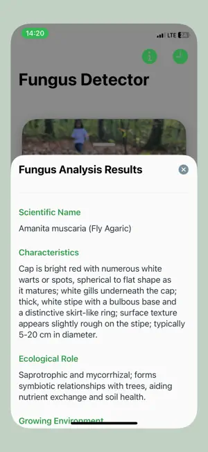 Mushroom AI – Identify Species screenshot 2